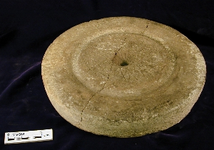 MS4564