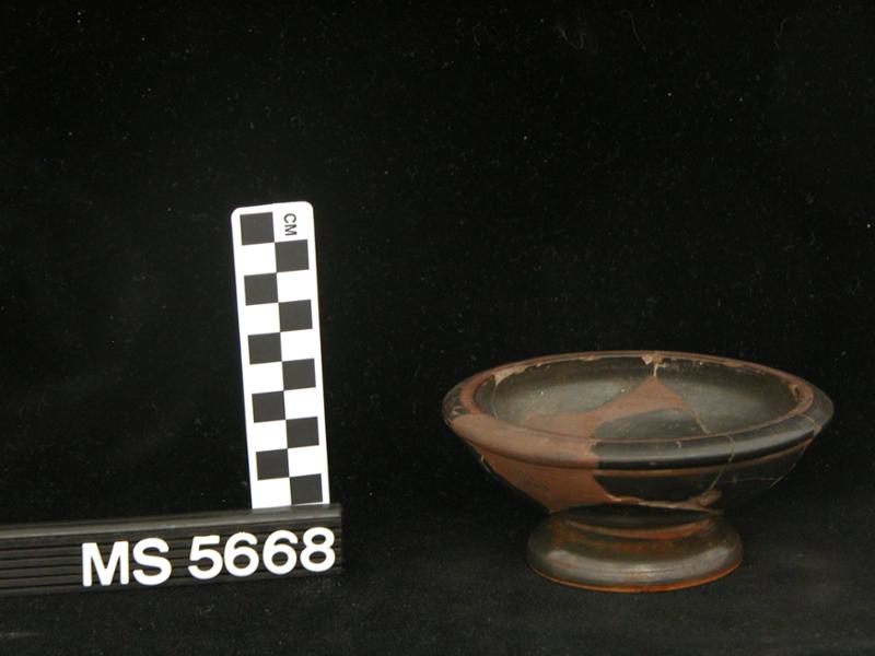 18646