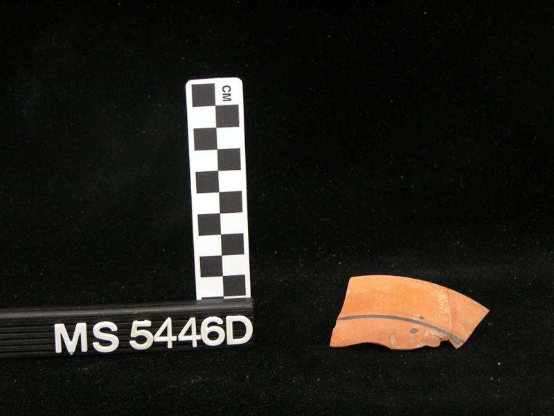 18869