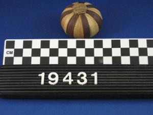 19431