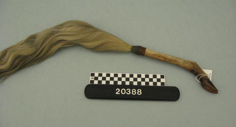 19097
