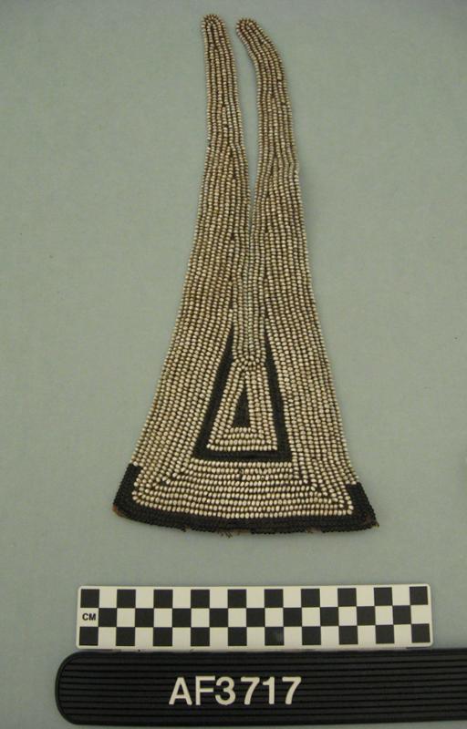 19129