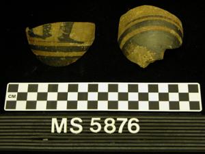 MS5876A