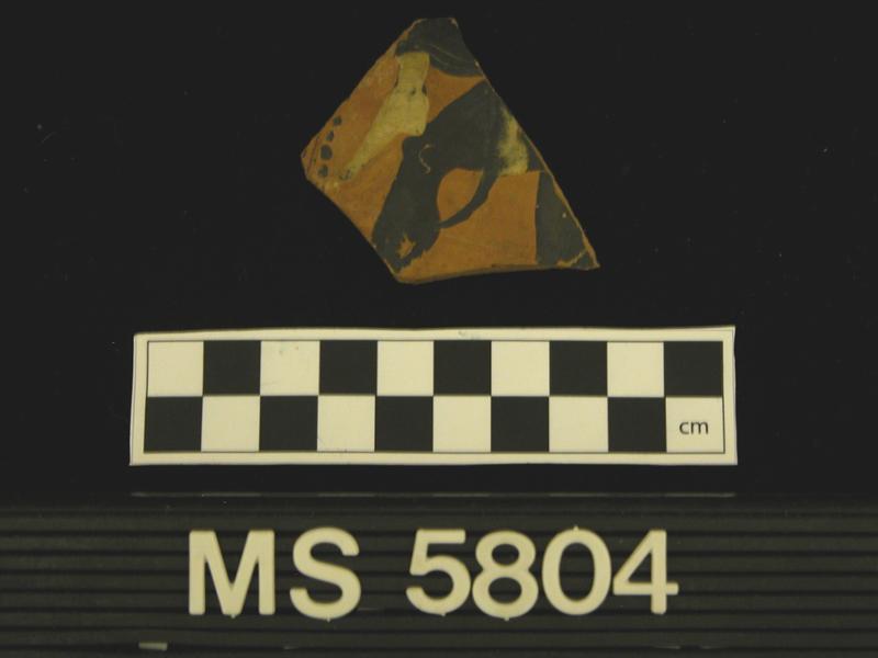 19596