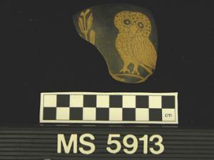 MS5913