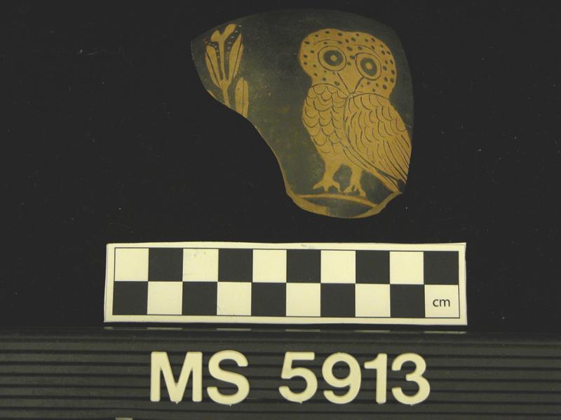 19616