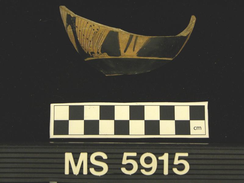 19618