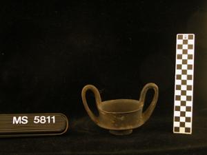 MS5811