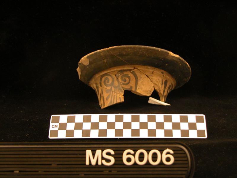 19629