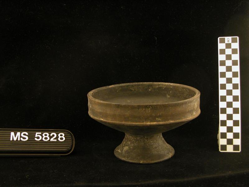 19645