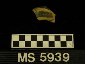 MS5939