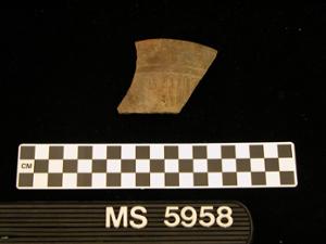 MS5958