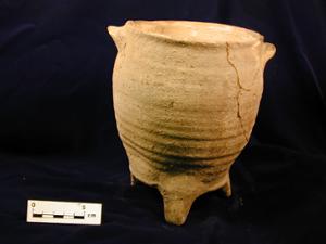 MS4655