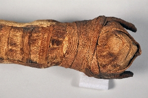 L-55-12
