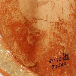 25364