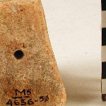 25462