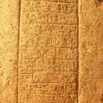 25545
