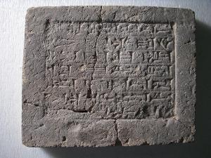 B8619