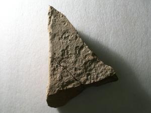 B8631