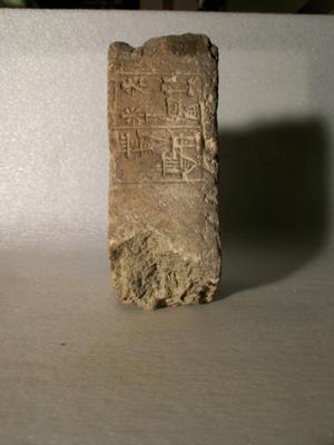B8653
