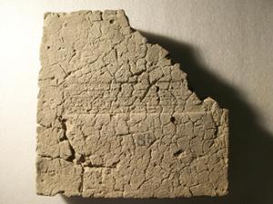 B15341
