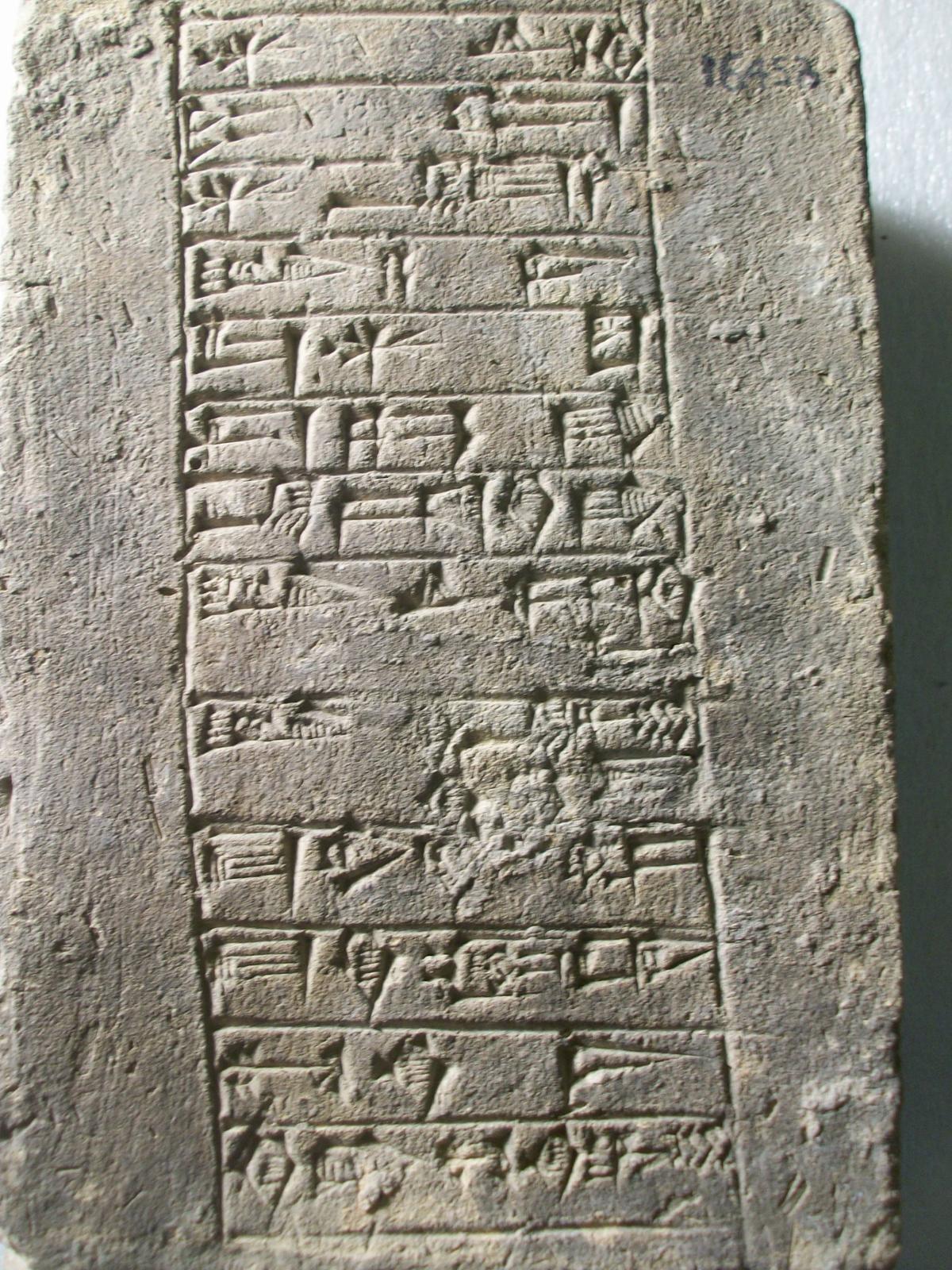 26044