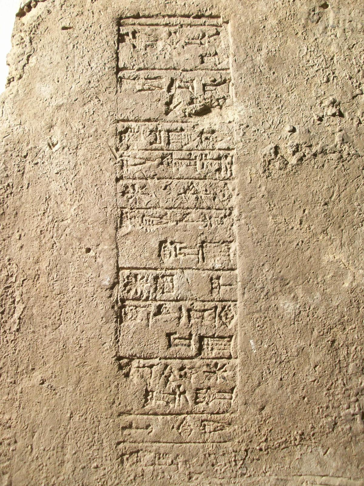 26054