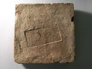B16494