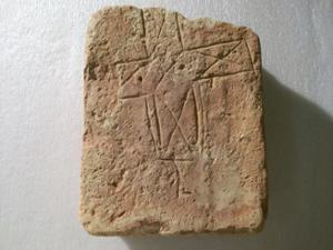 B16496