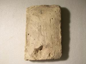 B16526