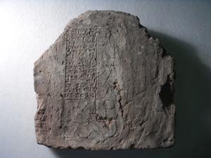 B16546