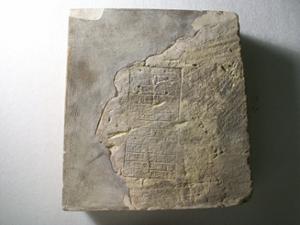 B16547