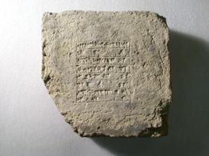 B16557
