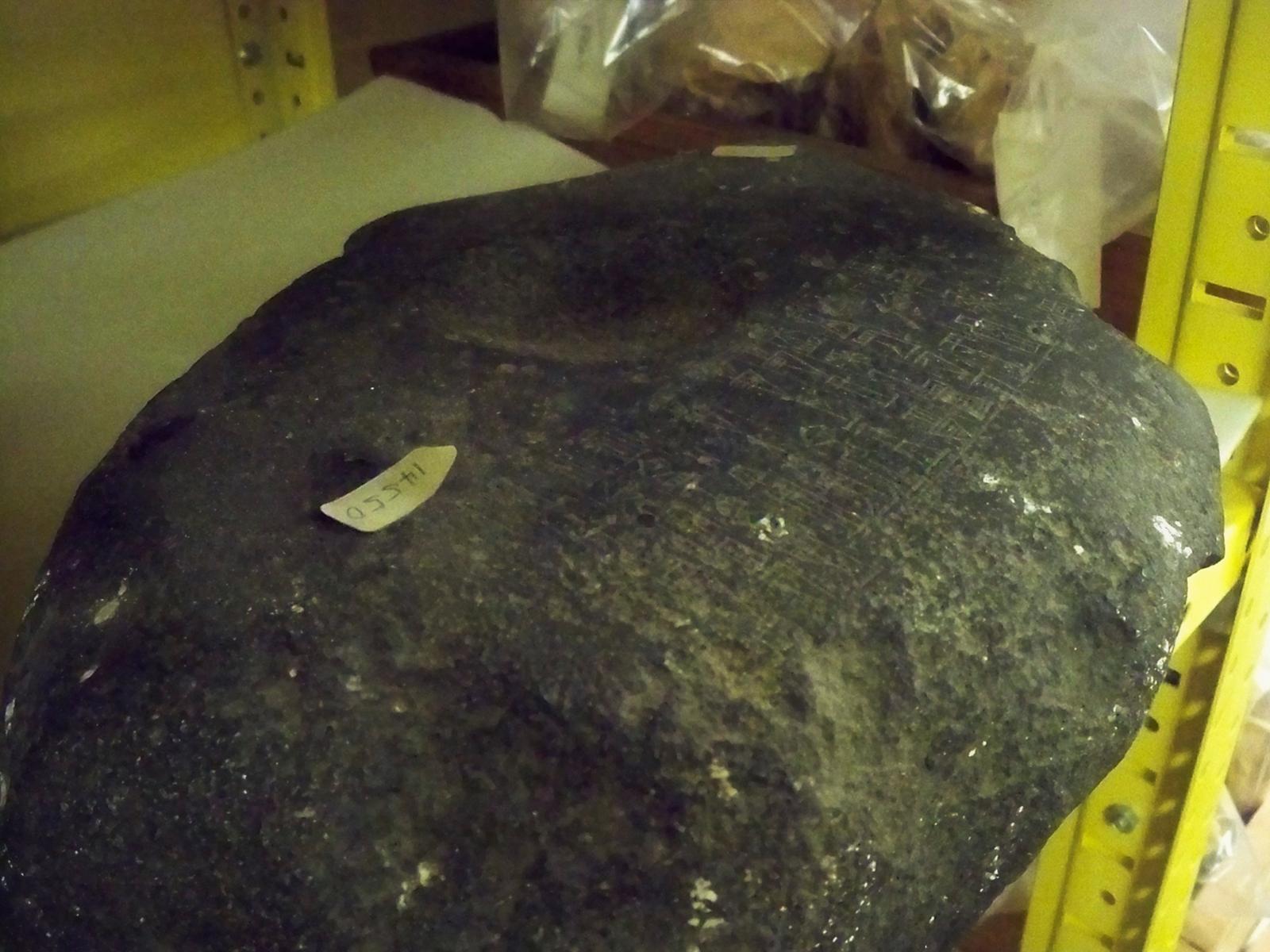 26264