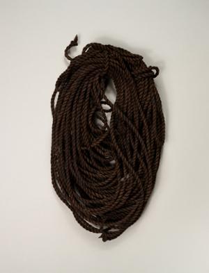 NA10825