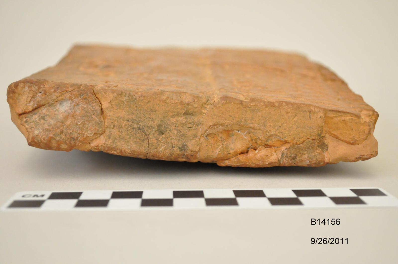 33664