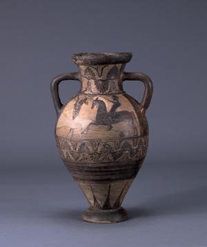 MS2491