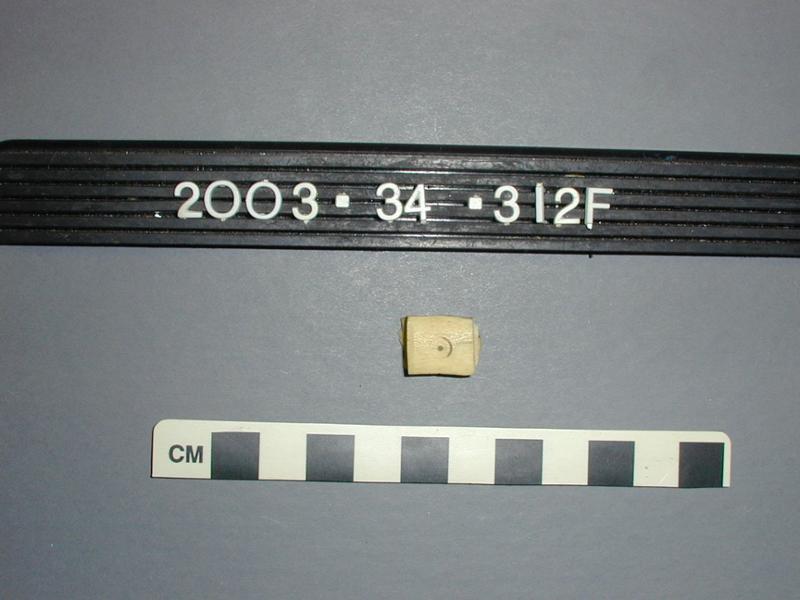 33856