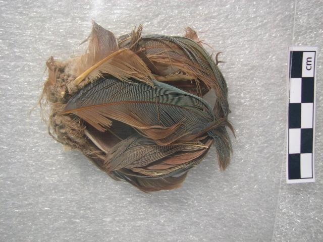36198