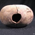 36251