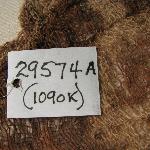 37512