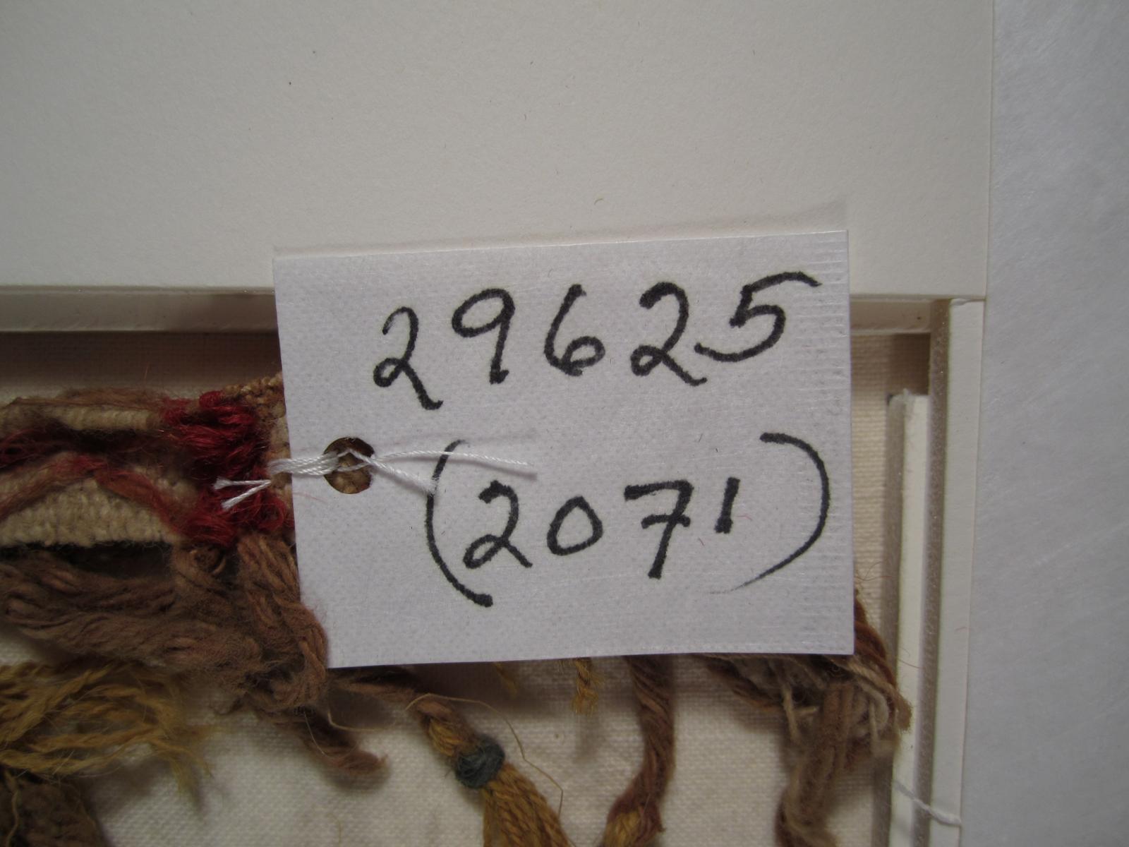 37655