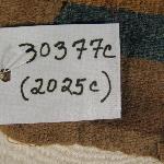 39271