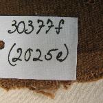 39283