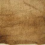 39428