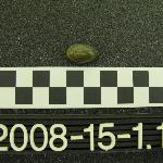 45196