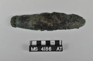 MS4186