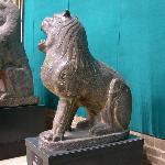 49005