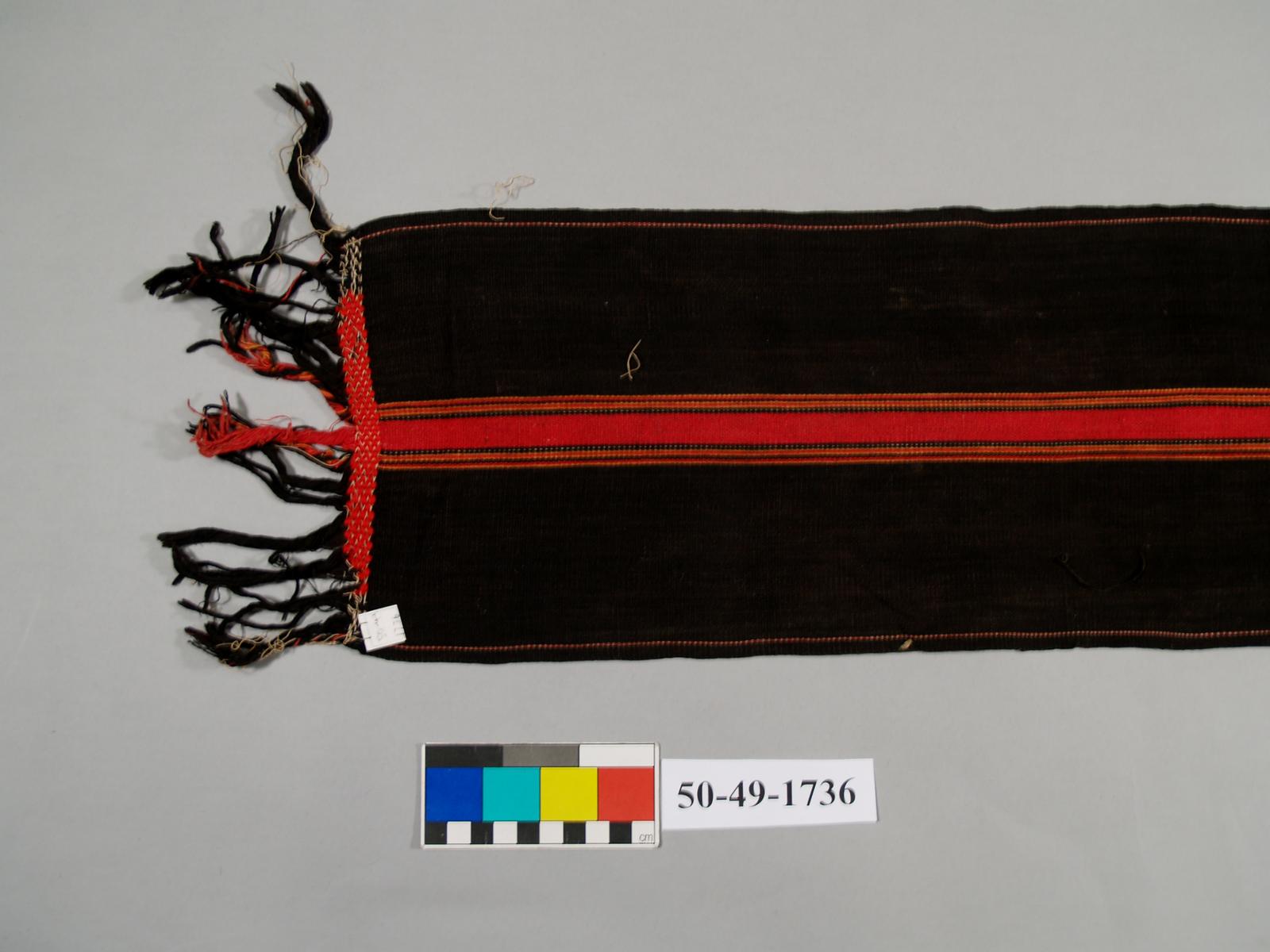 49846