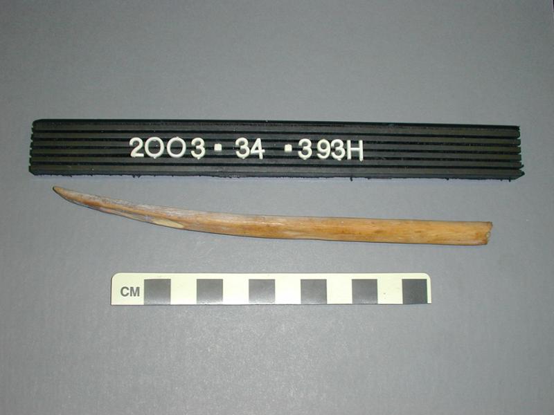 53813